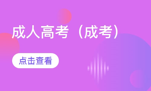 成人高考（成考）